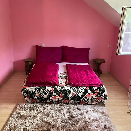 Apartamento Untersberg Und Festungsblick Puch bei Hallein Exterior foto